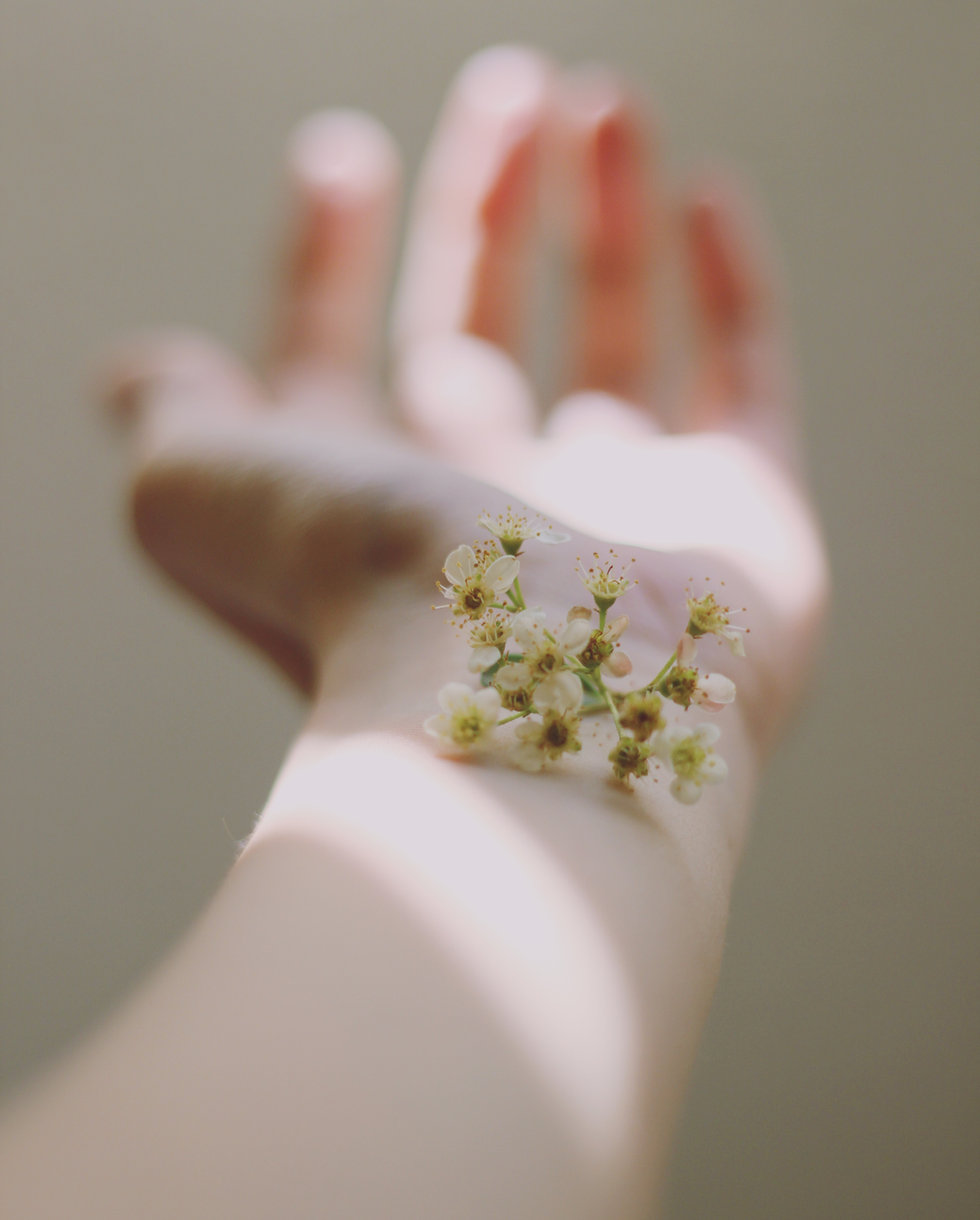 Small white blossom resting on an open wrist