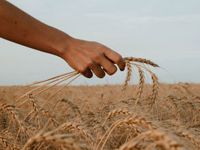 How to Celebrate the Celtic Harvest Festival Lughnasadh