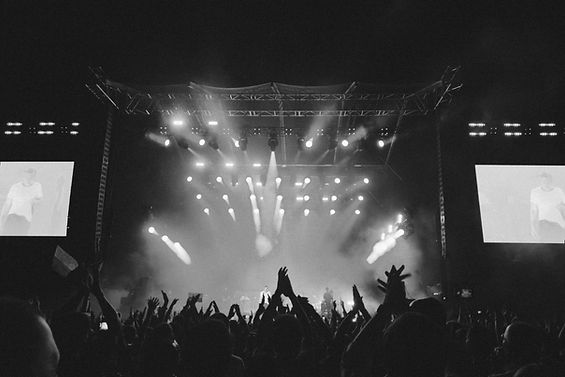 Image by Kyrylo Kholopkin
