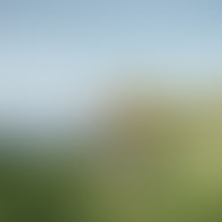 5 Honeymoon Destinations that Malaysian couples can vacay at without Quarantine