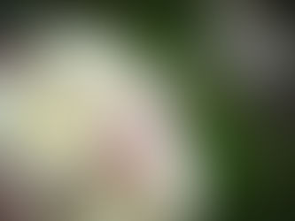 A Note on Memorial Services