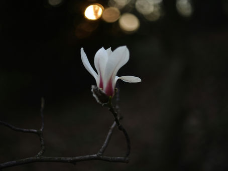 テモテへの第二の手紙4章2節