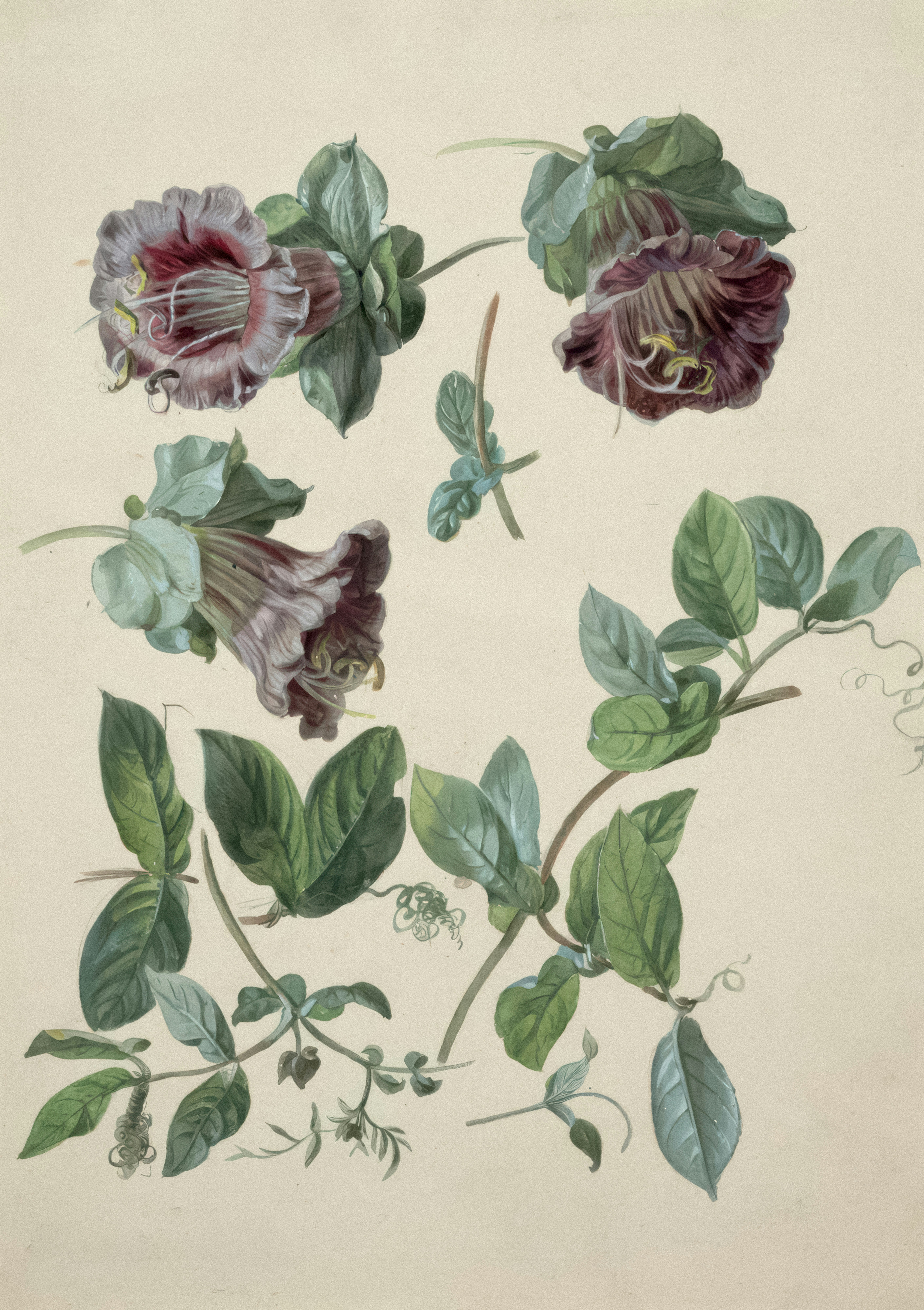 Image by Europeana