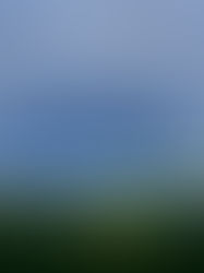 Le pour et le contre 