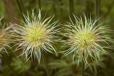 Image by Nikolett Emmert