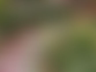 Libra New Moon: Walk in Beauty