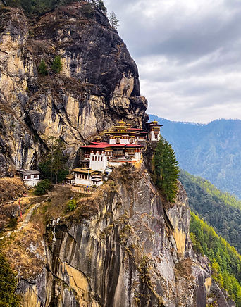 Image by Mike Swigunski