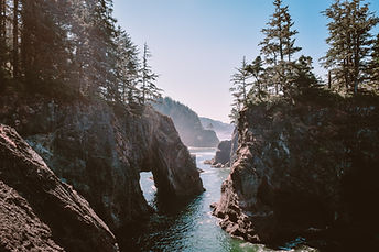 Image by Katie Musial