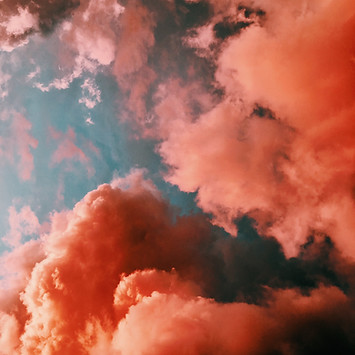Image by Laura Vinck
