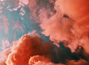 Image by Laura Vinck
