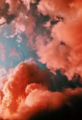 Image de Laura Vinck