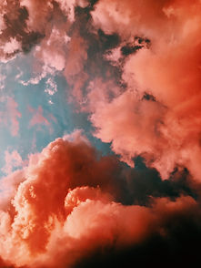 Image by Laura Vinck