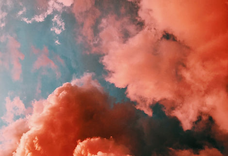Image by Laura Vinck