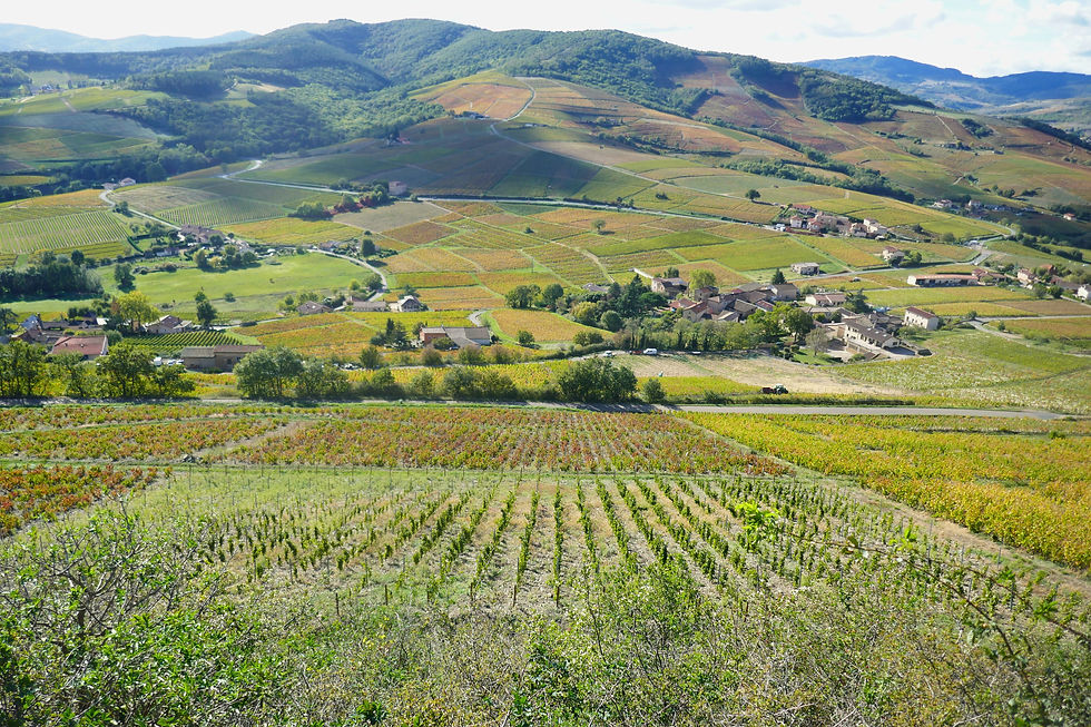 Mont Brouilly