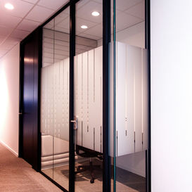 Glass Frosted Doors Internal with black edge