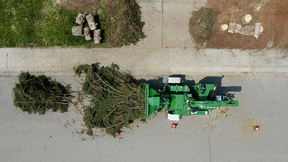 Aerial view of a green wood chipper on a street, processing branches. Logs and greenery are nearby. Traffic cones are visible around.