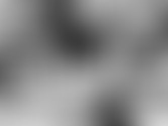 Demokrasi: Çoğunluğun Azınlığa Tahakkümü mü?