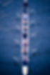 Image by Nick Fewings