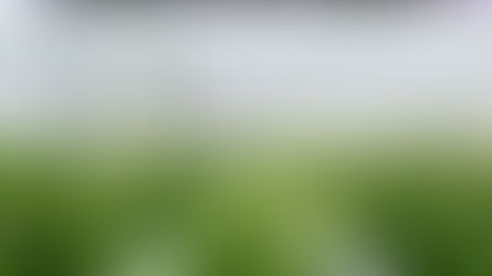 Eternal.Ag secures €8m to scale autonomous greenhouse harvesting