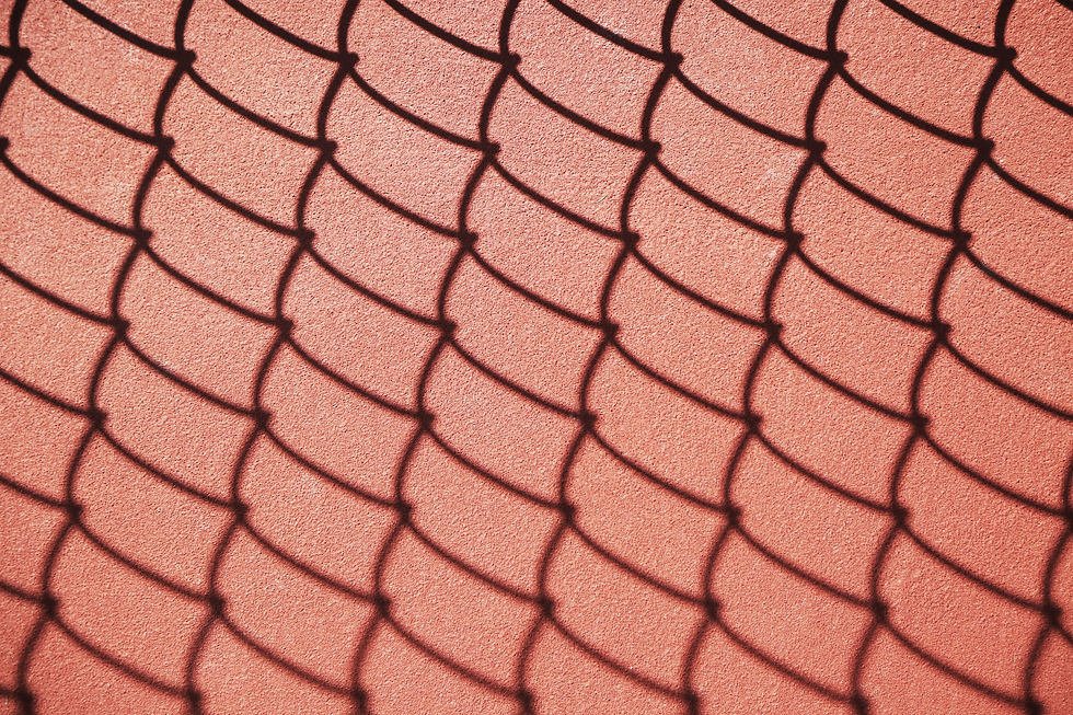 Image by Giorgio Trovato