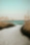 Image by Adrian Botica