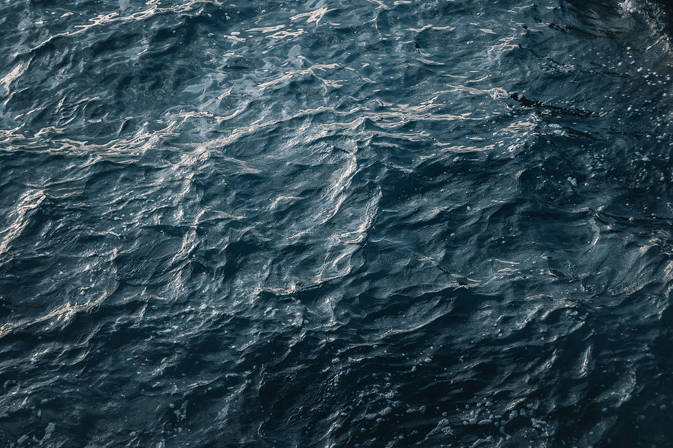 Image by LucÃa Garó