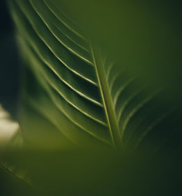 Image by Hunter So