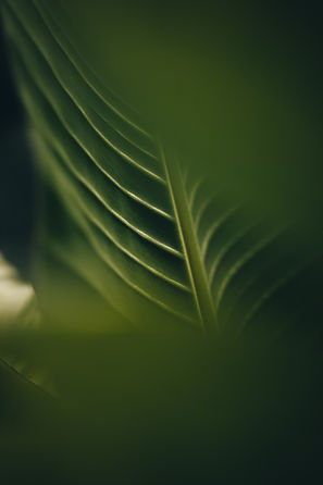 Image by Hunter So