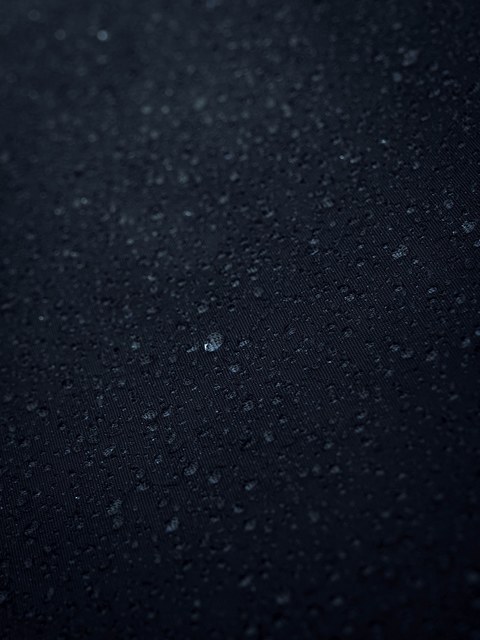 Image by Anton Sobotyak