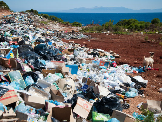 The Plastic Waste Dilemma: Making it Safe for our Planet