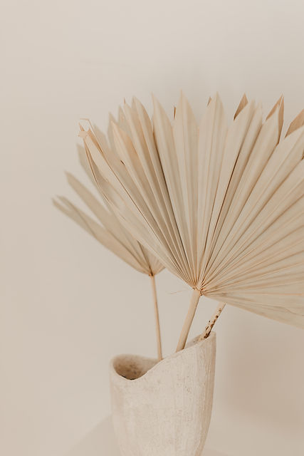 Image by Ellie Ellien