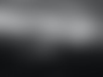 Understanding the Different Types of Trucking Insurance