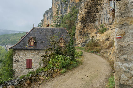 Image by Free Nomad