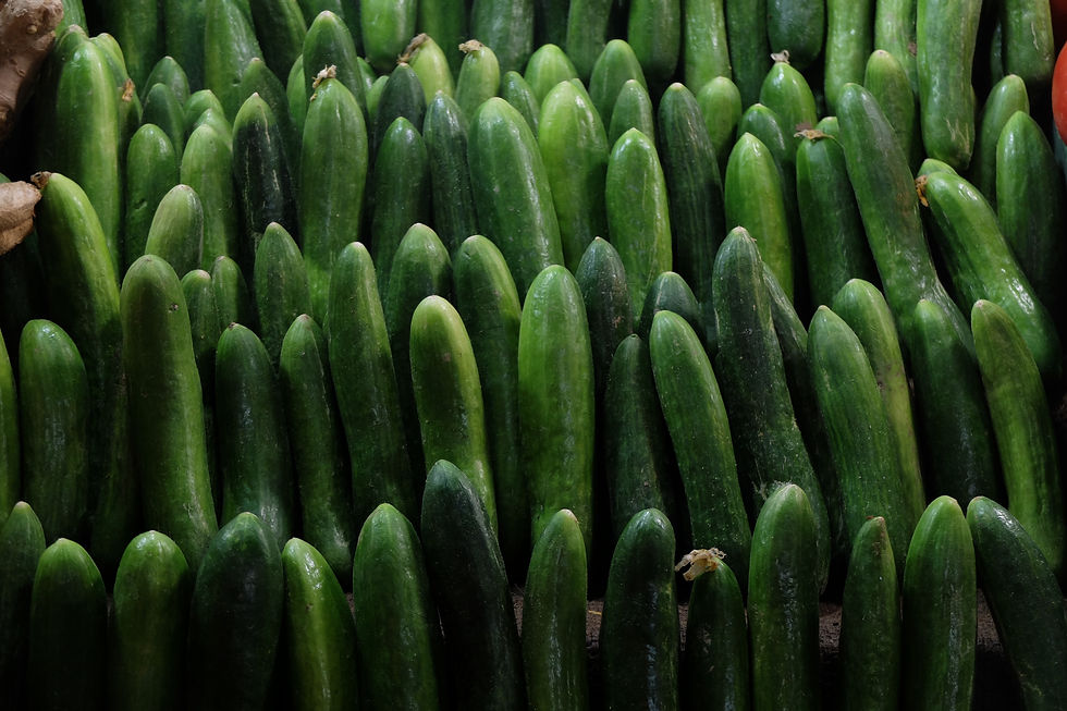 vegetables good for dogs