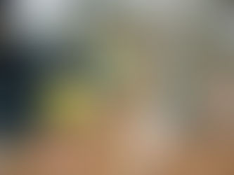 Professional horticulturist hand pruning a shrub in a San Francisco garden