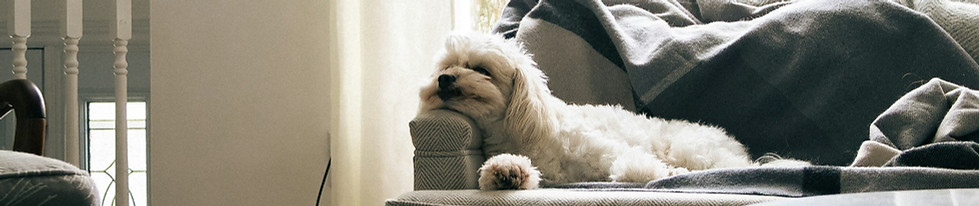 Image by Luca Ercolani