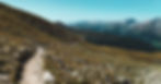 Image of a path forward in the wilderness.