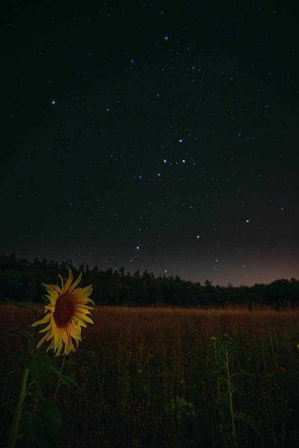 Image by David Becker