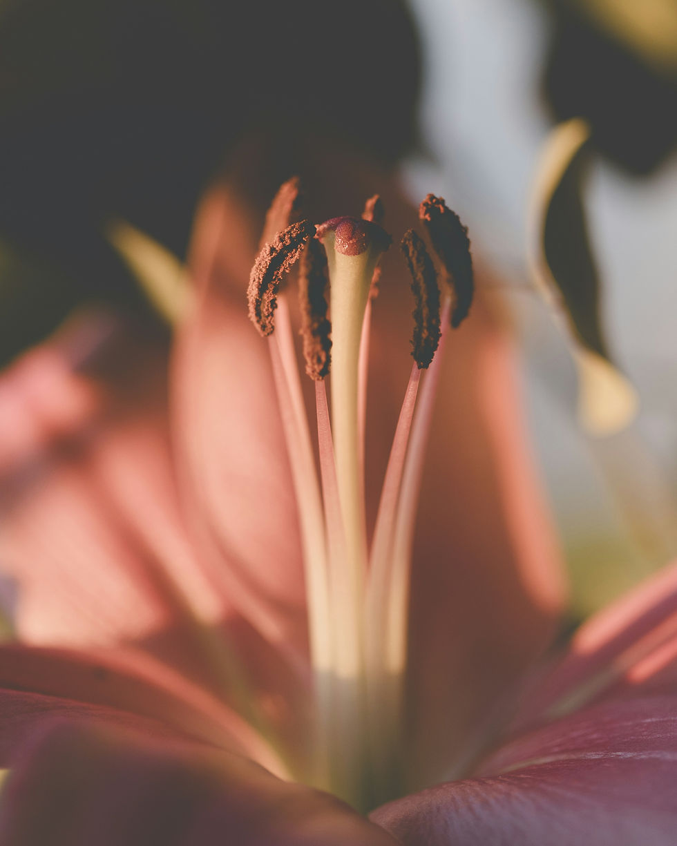 Image by Sixteen Miles Out