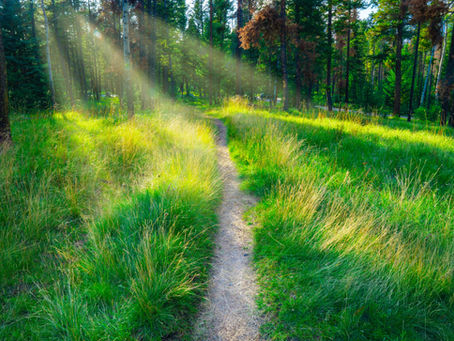 Am I Depressed? Recognizing the Signs and Finding Support
