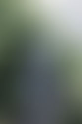 Josef K. e  o “Enem dos Concursos”