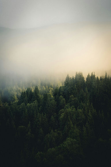 Image by Tobias Reich