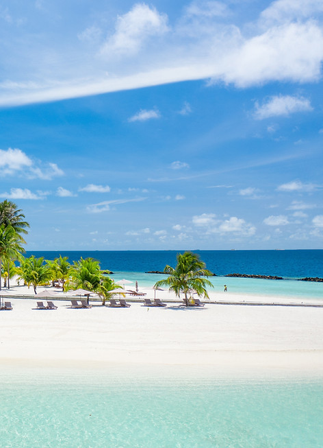 Tropical beach scene