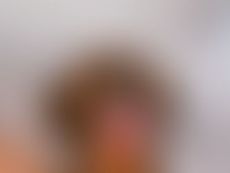 Cachorro teckel o salchicha de criadero de cachorros teckel en bogota colombia