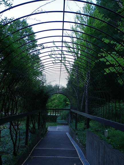 Image by Naoki Suzuki