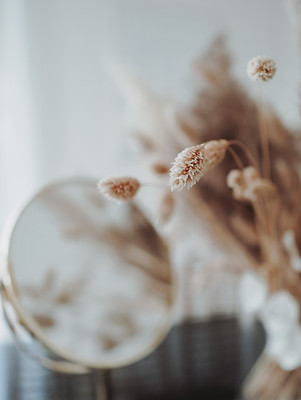 Image by Jasmin Ne