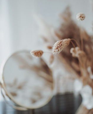 Image by Jasmin Ne