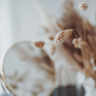 Image by Jasmin Ne