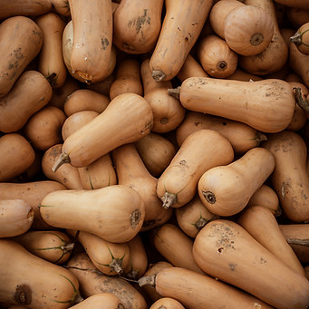 Image by Justus Menke