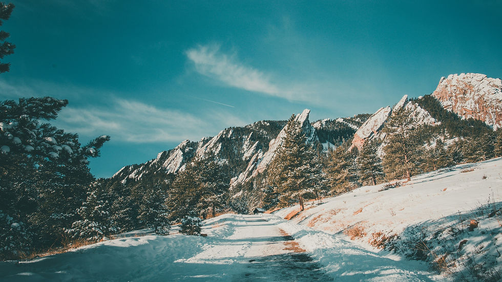 Image by Logan Gutierrez